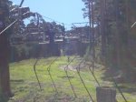 DSC02018.jpg