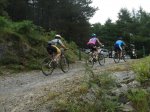 DSC07044.jpg