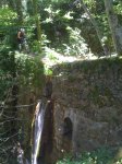 IMG_0478.jpg
