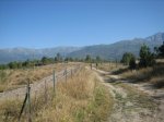 IMG_3999.jpg