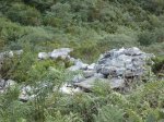 IMG_0109_1015x761.JPG