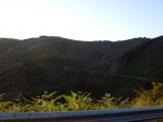 IMG_0110_1015x761.JPG