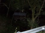 IMG_0112_1015x761.JPG