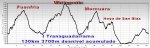 grafica trans_1024x334.jpg