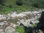 IMG_4009.jpg