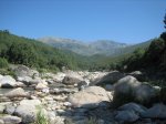 IMG_4013.jpg