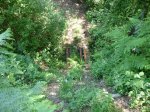 DSC01561.JPG