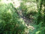 DSC01562.JPG