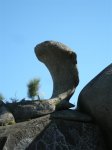 DSCN3999 (Large).JPG