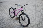 pbpic3371876.jpg