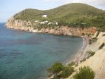 IMG_2333.jpg