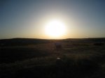 20062009705.jpg