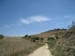 IMG_9560.jpg