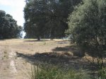 IMG_9580.jpg