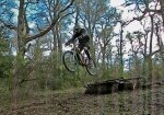 Salto1.jpg