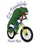 Camaleon[1].jpg