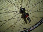 DSC04436.JPG
