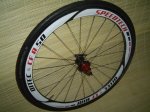DSC04448.JPG
