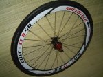 DSC04454.JPG