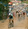 tomac3.jpg