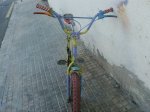 Foto0315.jpg