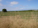 DSC03966.JPG