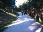 100_0791.jpg