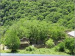 IMG_1265.jpg