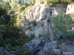DSC01123.jpg