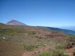 DSC01153.jpg
