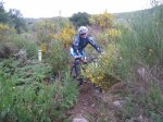 IMG_2223pekebona.jpg