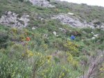 IMG_2221pekebolets.jpg
