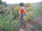 IMG_2224pekealbert.jpg
