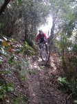 IMG_2247pekecarles.jpg