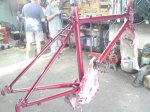 DSC00824.jpg