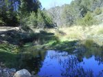 DSC00174.jpg