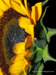 100_1756.JPG