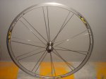 DSC02483.JPG