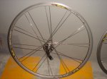 DSC02484.JPG