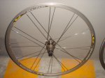 DSC02485.JPG