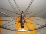 DSC02488.JPG