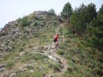 Ruta de los dinosaurios 2009 7.jpg