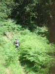 2009_0623IzkiBTT0292.JPG