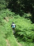 2009_0623IzkiBTT0293.JPG