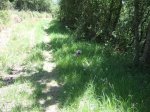 2009_0623IzkiBTT0296.JPG