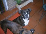 DSCN4483.jpg