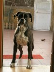 DSCN4216.JPG