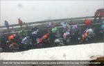 giro08st20-gaviabunch[1].jpg