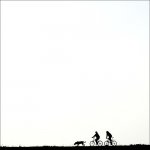 1dogbikes.jpg