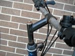 800px-Quill_stem_4.jpg